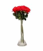 Feest valentijnscadeau 10 rode rozen in vaas