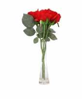 Feest valentijnscadeau 3 rode rozen in vaas 10101188