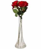 Feest valentijnscadeau 3 rode rozen in vaas