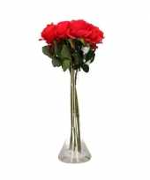 Feest valentijnscadeau 8 rode rozen in vaas