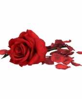 Feest valentijnscadeau rode roos 31 cm met bordeauxrode rozenblaadjes