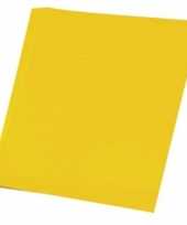 Feest vellen karton geel 48x68 cm