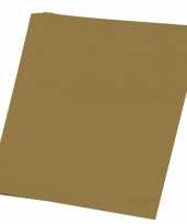 Feest vellen karton goud 48x68 cm