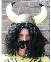 Feest vikingen pruik zwart