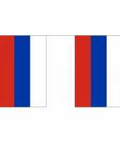 Feest vlaggenlijn rusland 9 m