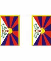 Feest vlaggenlijnen tibet 9 m