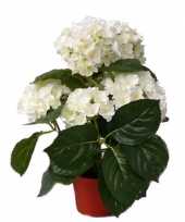 Feest witte hortensia kunstplant 36 cm