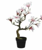 Feest witte roze magnolia beverboom kunsttak kunstplant 60 cm in pot