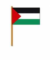 Feest zwaaivlaggetjes palestina