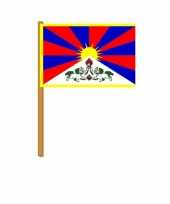 Feest zwaaivlaggetjes tibet